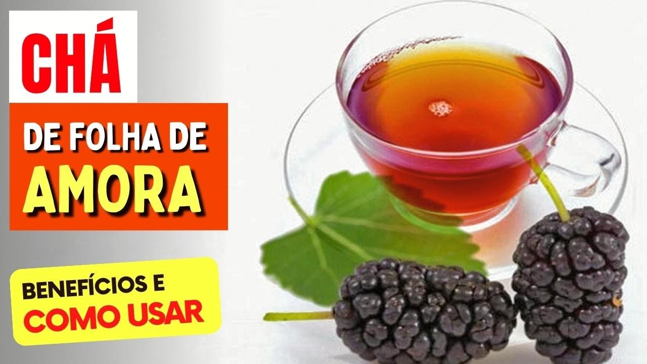 Chá das FOLHAS DE AMORA para Açúcar no Sangue, Saúde da Mulher, Coração ...