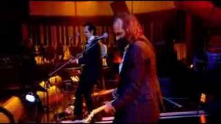 Grinderman - Worm Tamer