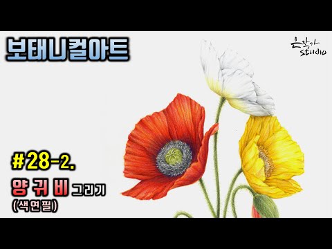 [꽃그림배우기/보태니컬아트] #28-2. 양귀비(Poppy) 색연필 그리기 (꽃그림강좌 - 색연필꽃그림)