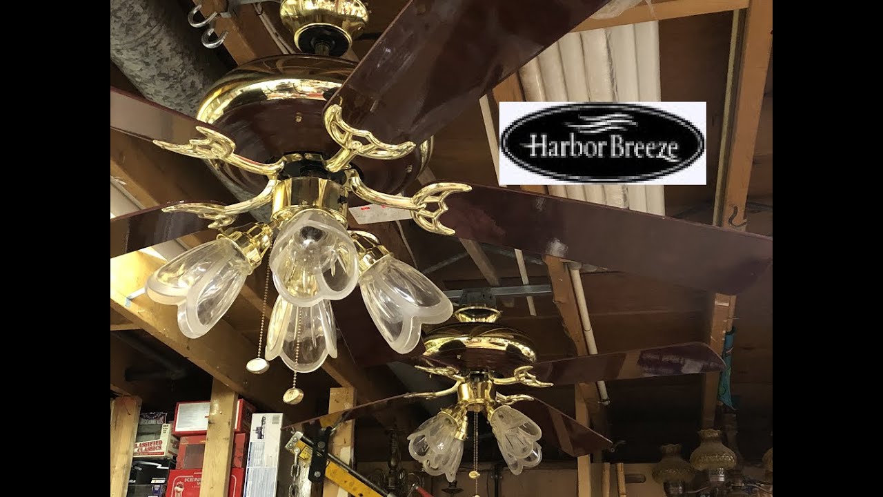 Harbor Breeze Platinum Series Wood Housing Ceiling Fans YouTube