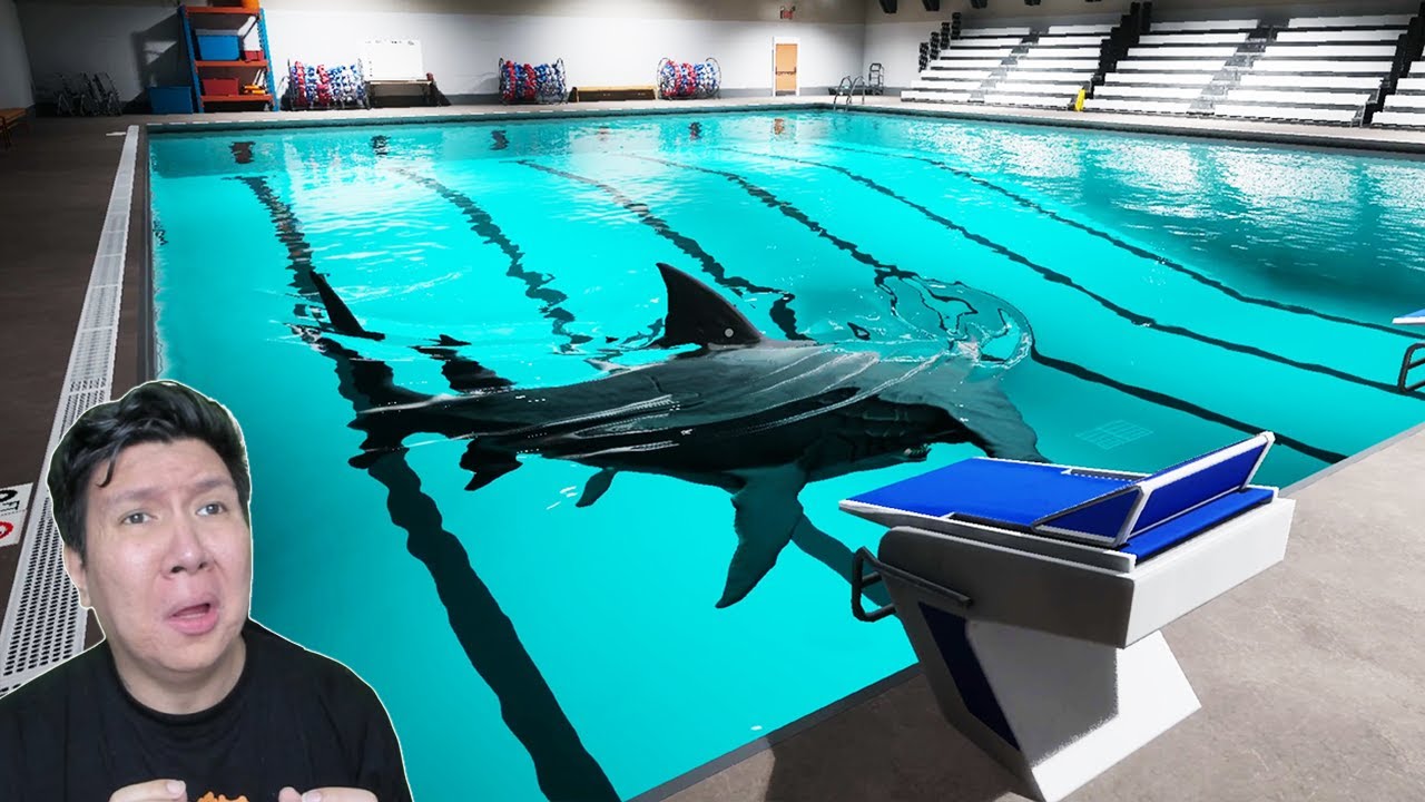 KETAKUTAN TERBESARKU HIU DI KOLAM RENANG JADI NYATA.... Sharks And Minnows