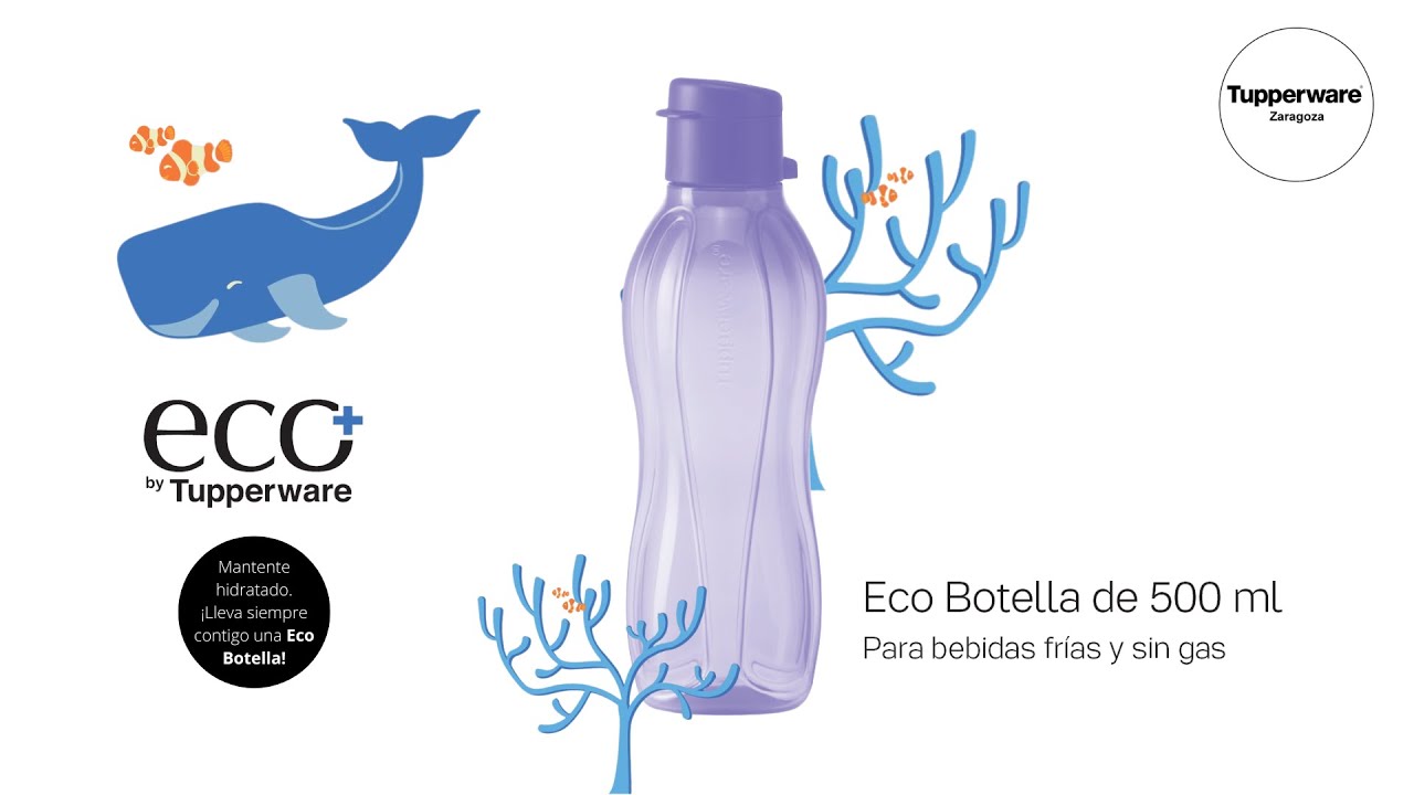 Eco botella 500 ml morada 