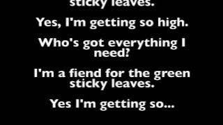Rebelution - So High (Acoustic) Lyrics