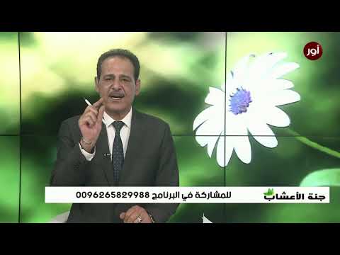 فيديو: عذاب التهاب المفاصل - التهاب المفاصل في القطط