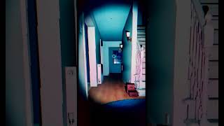 The mystery of the haunted teddy bear!