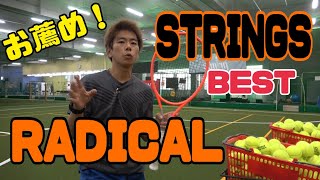 RADICAL お薦めストリングスRADICAL recommended strings