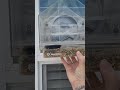 WINDOW BIRD FEEDER | UP CLOSE BIRD FEEDER | AMAZON MOM APPROVED PRODUCTS #ad
