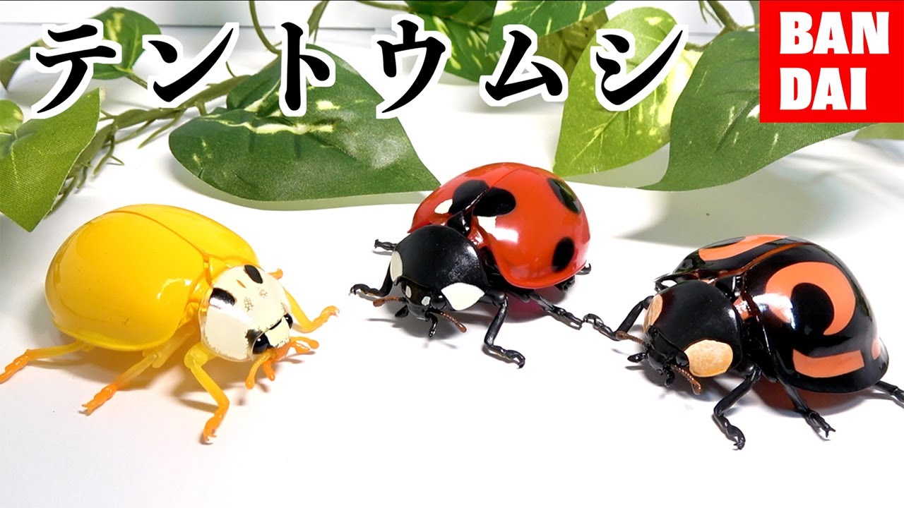 天道虫（てんとうむし） 4本セットまとめ いきもの大図鑑アドバンス テントウムシ｜ガシャポン