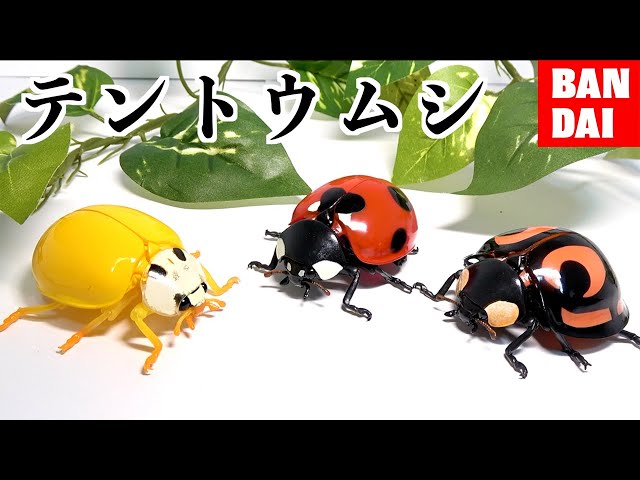 天道虫（てんとうむし） 4本セットまとめ 天道虫（てんとうむし）様専用 4本セットまとめ