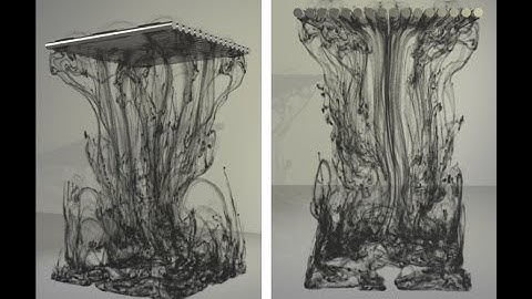 Particle-Laden Fluid on Flow Maps