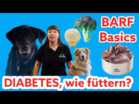 Video: Ernährung für diabetische Hunde