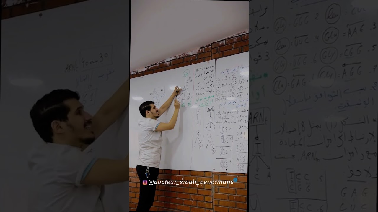 نظرية مرشحة بقوة لبكالوريا 2024 نظرية التمايل أو التأرجح 🔥