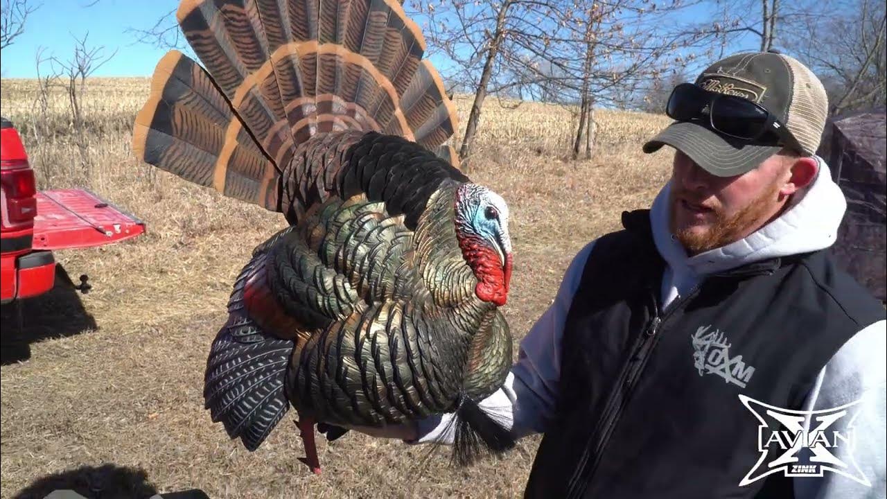 OUR TURKEY HUNTING SETUP 🦃 YouTube