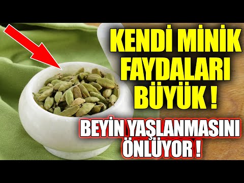 Beynin Yaşlanmasını Önlüyor Kendi Minik Faydaları Büyük !