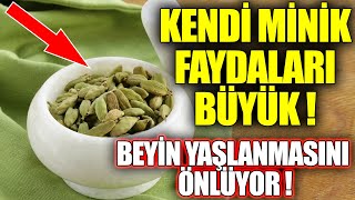 Beynin Yaşlanmasını Önlüyor Kendi Minik Faydaları Büyük