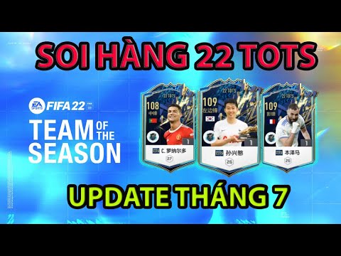 Soi nhanh Chỉ số 22 TOTS sẽ Update trong tháng 7 | Hakumen FO4