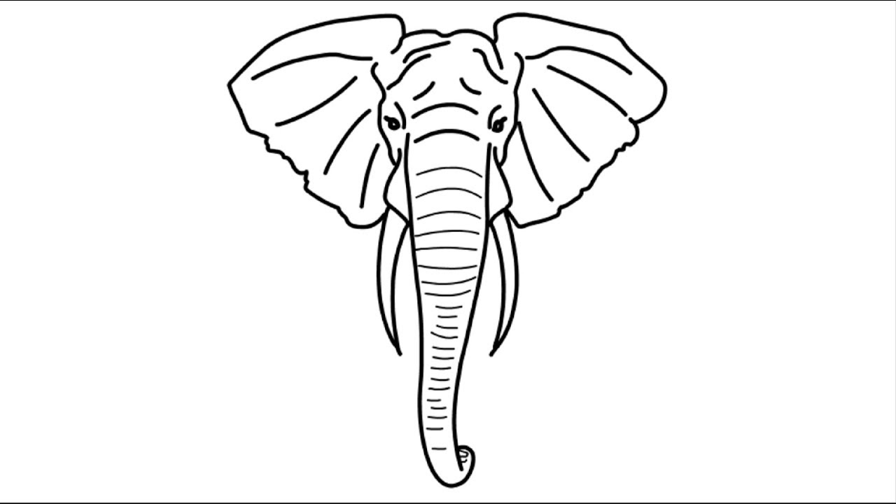 Elephant face drawing  How to draw Elephant head drawing  YouTube