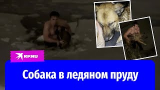 Мужчина спас тонущую собаку из ледяного пруда