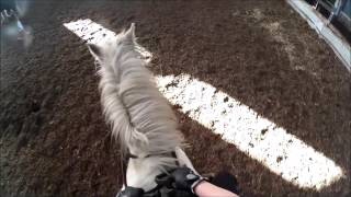 Horse Riding on Fluke 30-01-2016