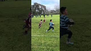 U7s Otahuhu Blue Cubs 2023