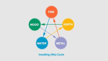 FIVE ELEMENTS - WU (INSULTING) CYCLE