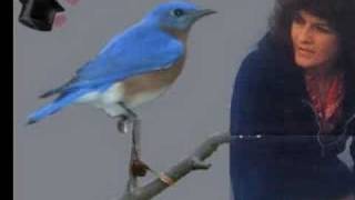 Watch Donna Fargo Hello Little Bluebird video