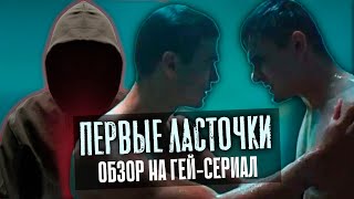 ГЕИ, ГОМОФОБИЯ И САМОУБИЙСТВА ШКОЛЬНИКОВ - ПЕРВЫЕ ЛАСТОЧКИ 1 СЕЗОН | ОБЗОР