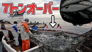 【特別編】ジンベイザメが入る事のある大型定置網であの魚がトンとれた