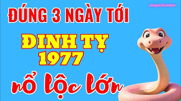 Tiền Về Gõ Cửa: Đinh Tỵ 1977 - Đúng 3 Ngày Tới, Trúng Lộc Trời, Giàu Hơn Người Giàu
