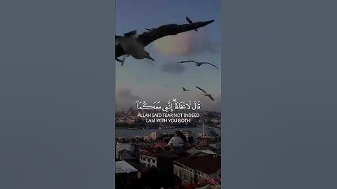 لا تهرب أنه قرآن كريم