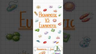 Prokaryotic vs Eukaryotic cells in 1 minute ⚡ | NEET Biology