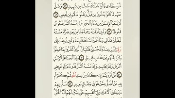 سورة فصلت | قراءة من المصحف الشريف - الجزء 25 (من الآية 47 إلى 54)