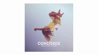 Vignette de la vidéo "Concorde - Sons [Audio]"