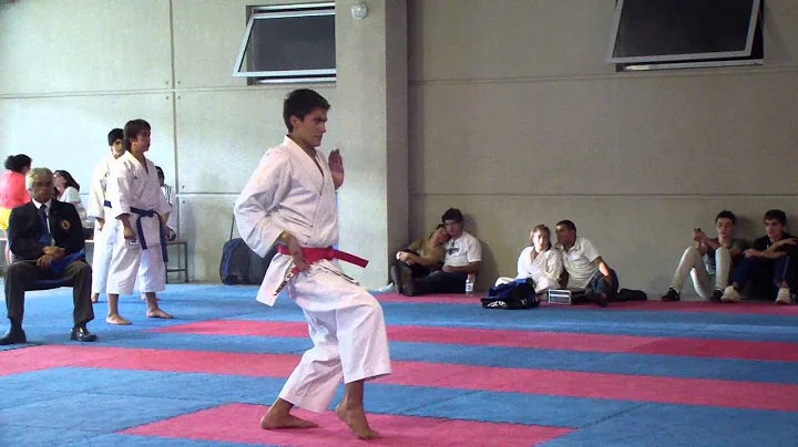 Campeonato Nacional de Clausura 2012-2013 WKF / 16...