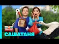 СашаТаня НОВЫЙ СЕЗОН СашаТаня НОВЫЙ СЕЗОН