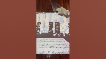 Testing the piano floor with my cat