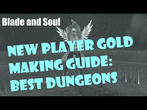 [Blade and Soul] New Player Gold Making Guide: Best Dungeons!