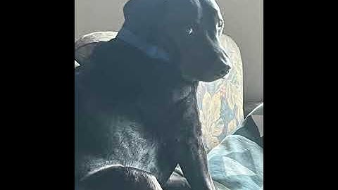 ReallyS22Mxmp4DLB 29Oct2025