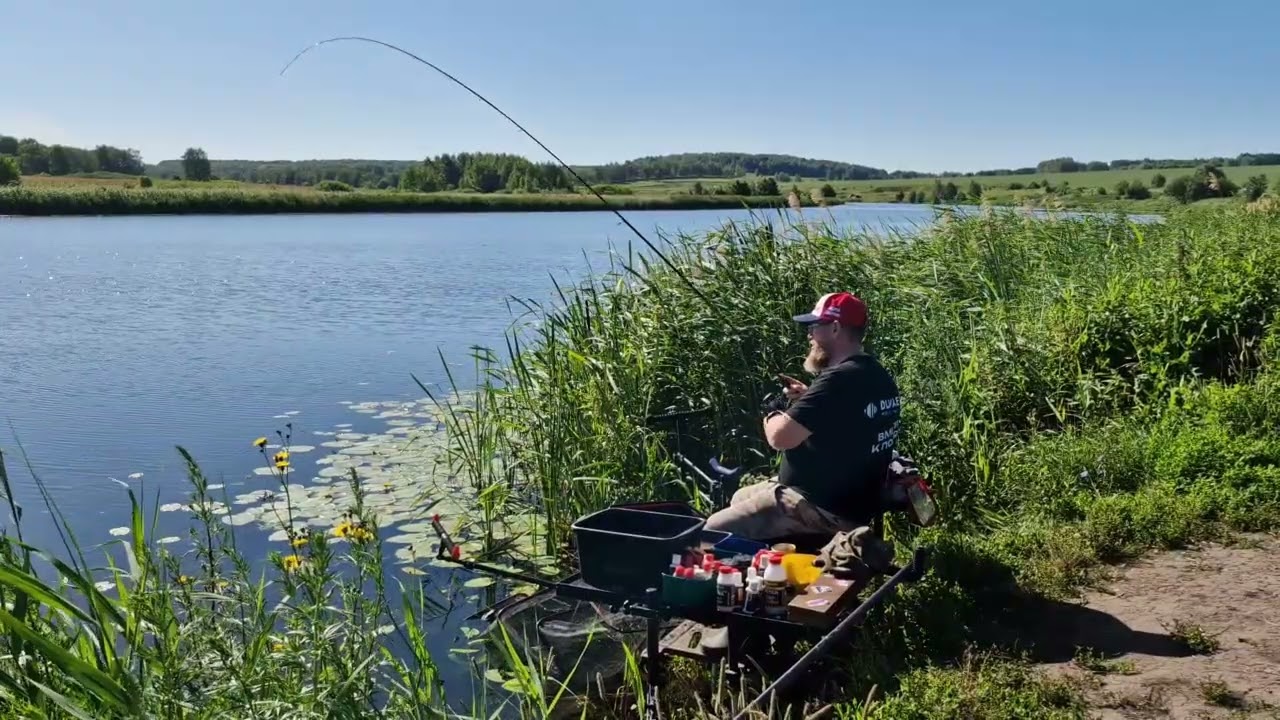 Лещ или карась доминирует при ловле на реке со слабым течением.