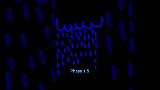 Phases of a flood #viral #notajoke #disaster #disastersimulation #disastrous #deadly #danger #warn