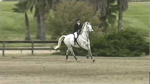 164S Lavinia Johnston at RamTap Eventing Stadium J...