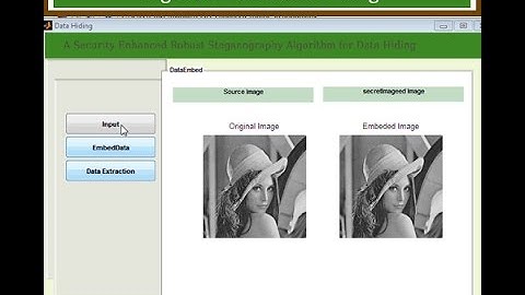 Robust Steganography Algorithm for DataHiding Matlab Project