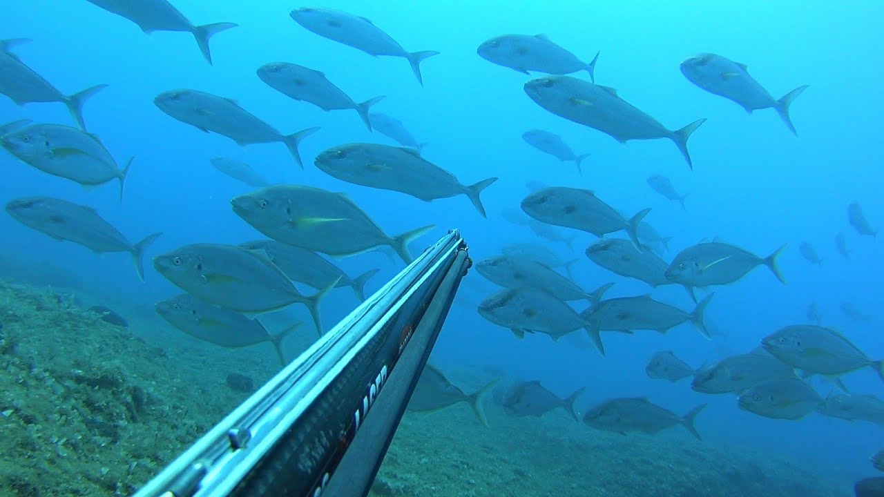 🔱 Το Όνειρο Κάθε Κυνηγου Βρισκόταν Μπροστά Μου 🎥 Dream Spearfishing
