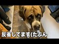 父ちゃんのベッドで❤︎寝てたら怒られた・・