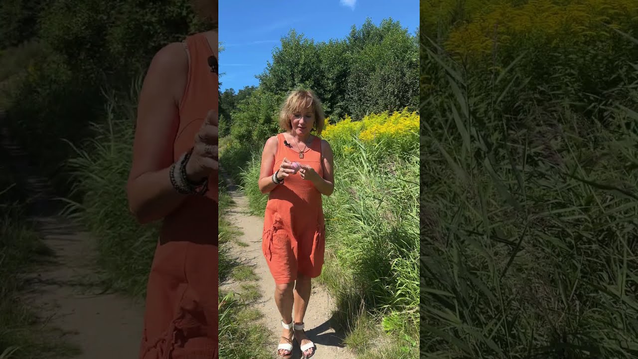 Zapowied Hydrofilowego Musu Nektar Cud w manufakturanaturalis Zapowied Hydrofilowego Musu Nektar Cud w manufakturanaturalis