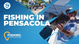 Pensacola Fishing: All You Need to Know | FishingBooker