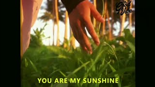 YOU ARE MY SUNSHINE (REMAKE) cover by original sound nada & lutfi