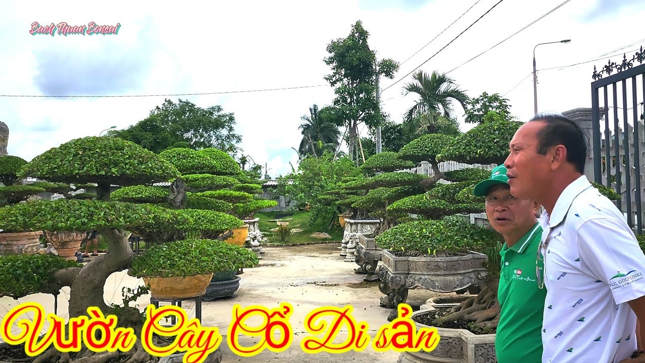 Nhà vườn Thành vàng Nam định đón đoàn bonsai xuyên Việt