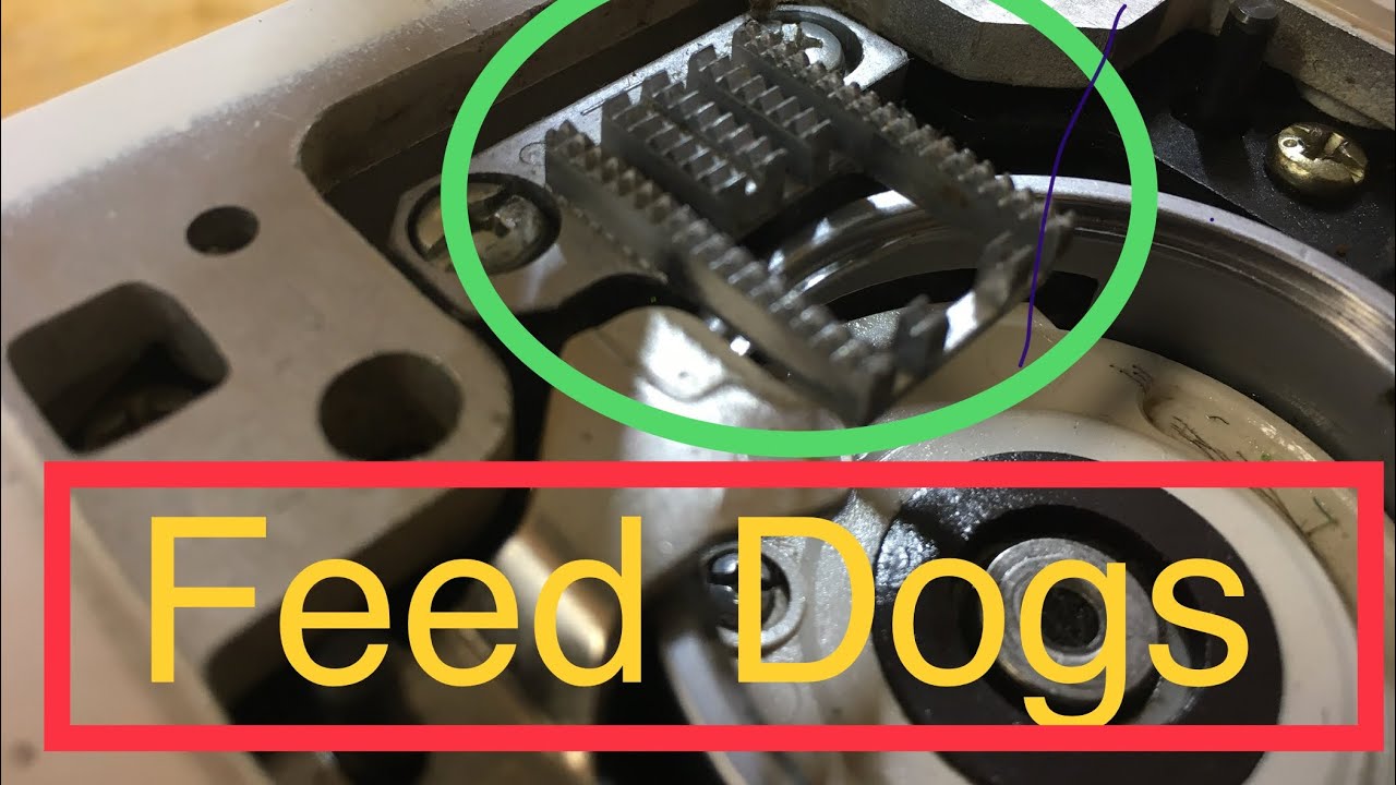 What is the Purpose of the Feed Dog on a Sewing Machine: Essential Insights