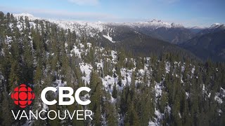 Low snowpack across B.C. prompts drought concerns